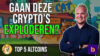 Welke altcoins kunnen EXPLODEREN in aanloop naar de Bitcoin halving  Top 5 beste crypto’s