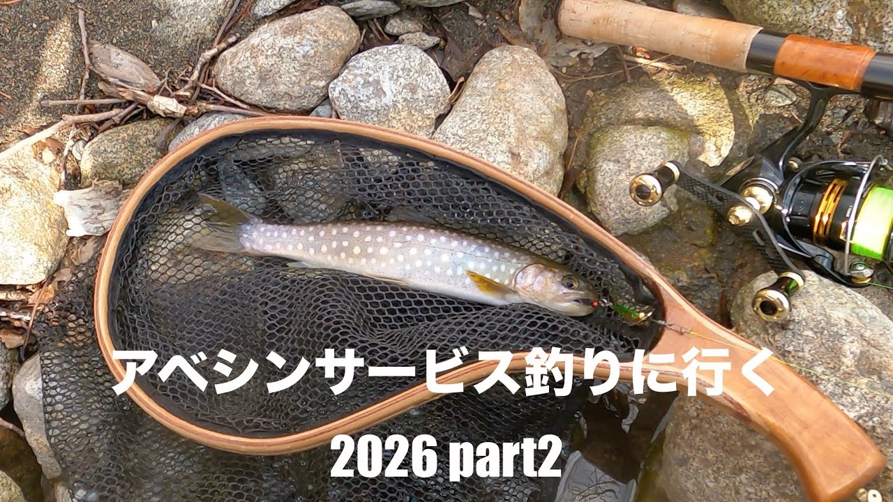 アベシンサービス釣りに行く 2026 part2 ㊗️50歳、初フィッシュは渓流魚！