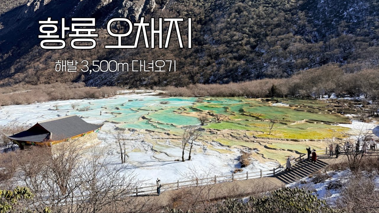 황룡구채구에서 첫 번째로 황룡 방문 [중국여행 #10]