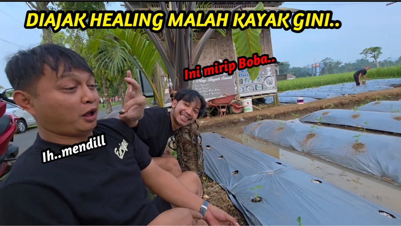 DIAJAK HEALING MALAH KAYAK GINI..