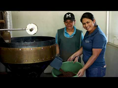 Battling Climate Change: A Farmers’ Perspective - Alliance for Resilient Coffee (ARC)