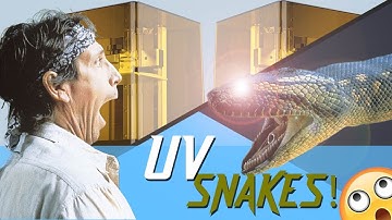 UV Curing Snakes - Cure inside your prints.