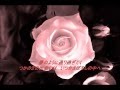 大沢誉志幸/Babyrose #Lyrics