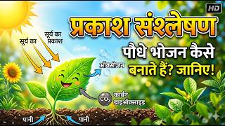 प्रकाश संश्लेषण #biology #botanyneet 