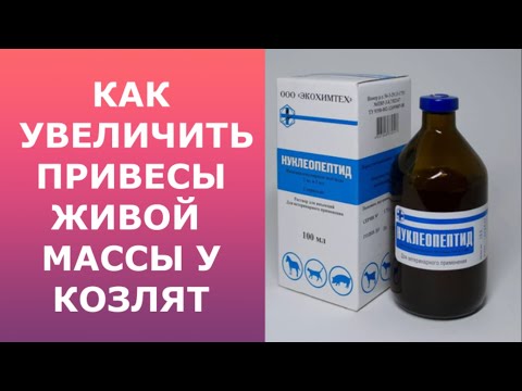 Как увеличить привесы живой массы у козлят?