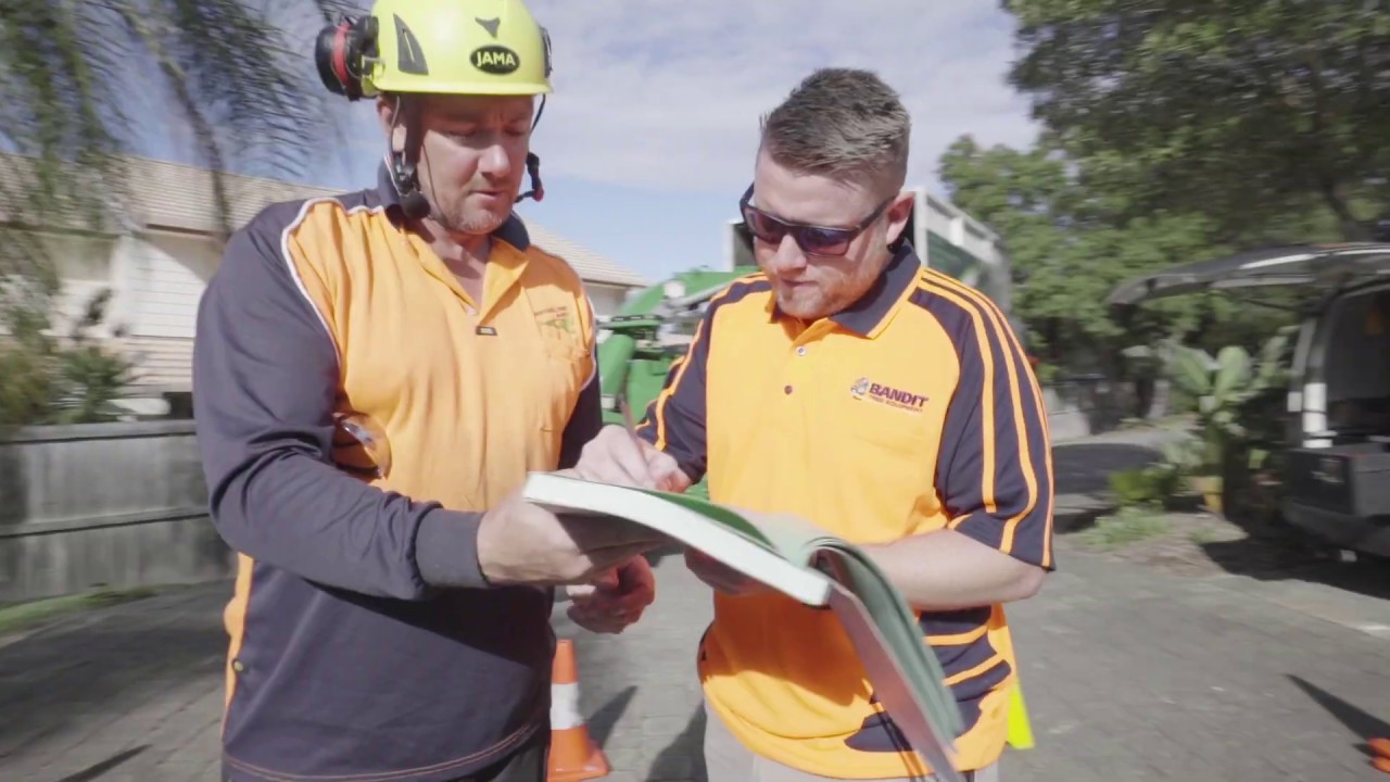 Tree removal Gold Coast Professional Tree Works - YouTube