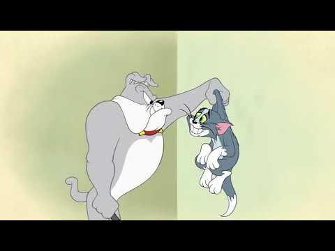 Tom And Jerry Tales Intro 