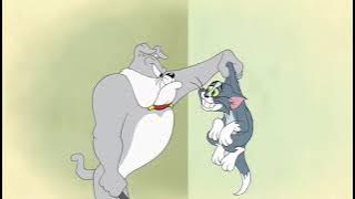 tom and jerry tales intro