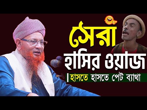 স র হ স র ওয জ Allama Nazir Ahmed আল ল ম নজ র আহম দ