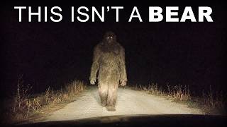 Chilling BIGFOOT Sightings Across American Forests Caught On Camera