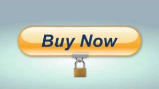 PayPal Website Payments Standard