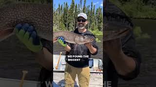 Amazing First Fly-In Fishing Trip Recap