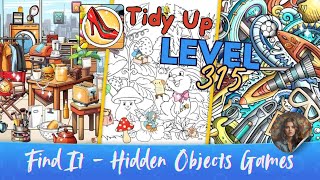 Find It - Hidden Objects Games - Tidy Up Level 315 screenshot 4