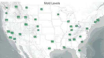 Seasonal Allergy Forecast: Pollen and Mold Counts, [Extra info + date]