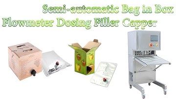 HYBIB-10F Semi automatic Bag in Box Flowmeter Dosing Filler Capper