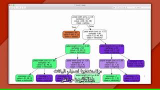 الدرس ( 2)   مصنف شجرة القرار  ....Decision Tree Model /Classifier