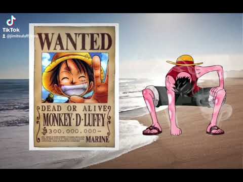 Luffy bounty evolution - Wellerman