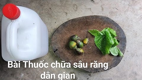 BÀI THUỐC CHỮA SÂU RĂNG  DÂN GIAN BĂNG QUẢ CAU VÀ LÁ NỐT