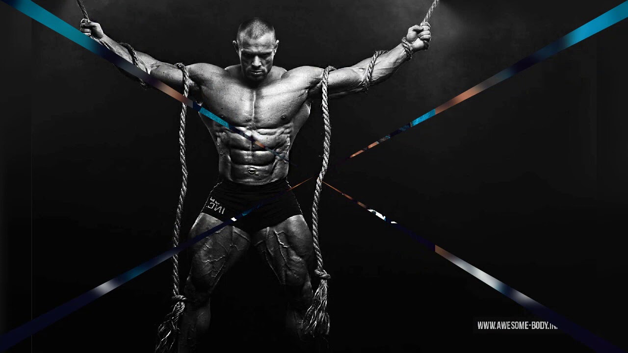 Latest gym songs of 2020 in hindi// love to be fit💪💪 YouTube