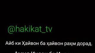 Аз Барой АЛЛОХ Инро бинед хайвон ба хайвон рахм кард