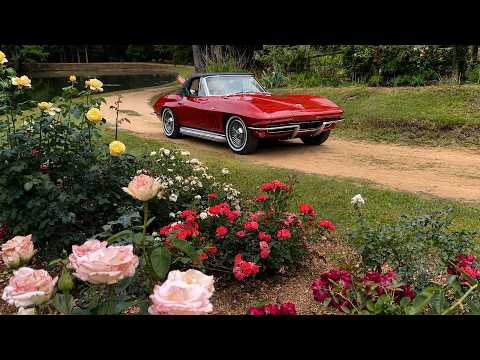 Roses, Classic Cars, and a Labor of Love | Making It Grow