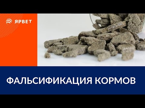 Осторожно, фальсификат! Анализ протеиновых концентратов