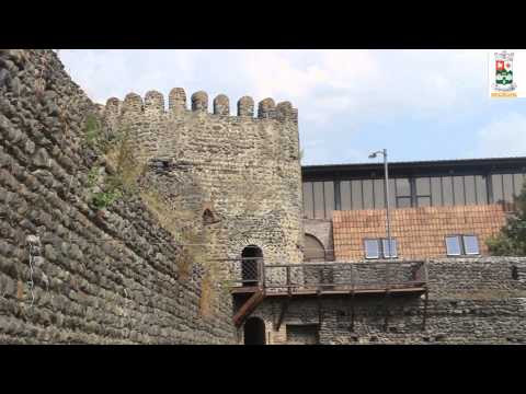 ყვარლის მუნიციპალიტეტი