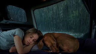 Rain sounds for sleeping - Deep Sleep with Sound Rain on the Camping Car & for Insomnia, ASMR by Sleep Soundly Rain 7,322 views 3 days ago 11 hours, 4 minutes