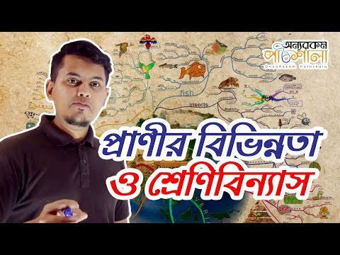 ভিডিও: ইচ্ছা বিভিন্নতা