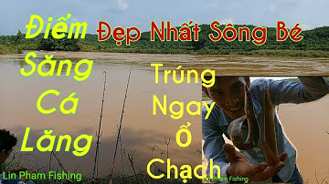Săng Cá Lăng Sông Bé Mà Trúng Ngay Ổ Chạch Lấu Quá Ngon