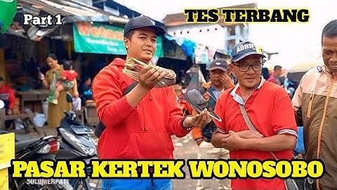 BERBURU MERPATI GIRINGAN DI PASAR KERTEK WONOSOBO MERPATINYA CAKEP CAKEP PART 1