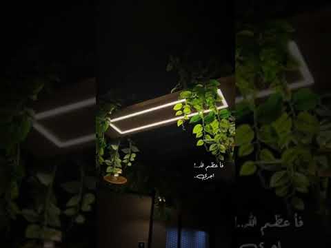 فقدت نفسي لما صرت اتبع ها اصاله