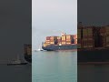 MSC Cantianer Ship vedeo Dubai songs 🚢🚢🚢🚢🚢