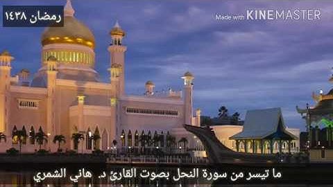 تلاوة هادية مما تيسر من سورة النحل بصوت القارئ د. هاني الشمري