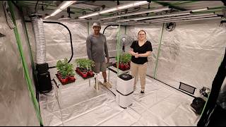 How to Build a Cannabis Grow Tent for Educational Purposes