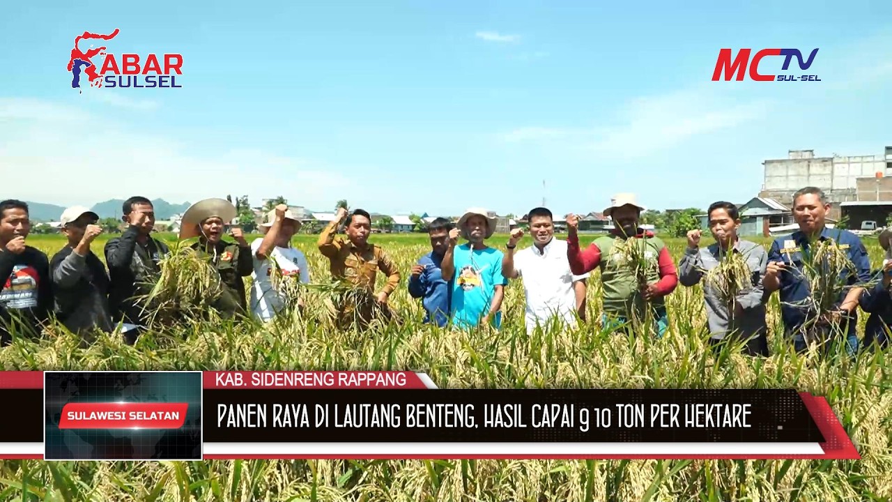 PUASA TAK SURUTKAN SEMANGAT PANEN RAYA DI LAUTANG BENTENG, HASIL CAPAI 9 10 TON PER HEKTARE