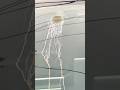 Remove tough stains from Car windshield in 10 seconds #shorts #ytshorts #carcare #foryou #viral