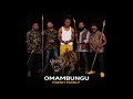 FRESH FAMILY INGWE NYAMA Genuine Audio