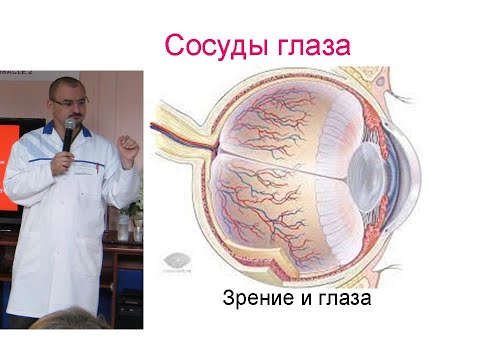 Кровоснабжение глаза. Его нарушение. Дисциркуляторная офтальмопатия.