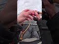 Elle tape vraiment au meilleur moment ces fera 😂🔥 #fish #pêche