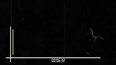 #mentahan#spectrum#kinemaster#terbaru2020 MENTAHAN SPECTRU BRAS KOTAK