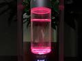 Hydrogen water bottle generator of BSTYCM brand #bottle #life #water #bstycm
