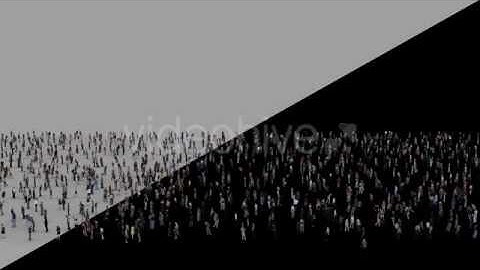 After Effects project - Crowd V3