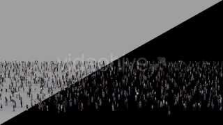 Famous After Effects project - Crowd V3 Profile