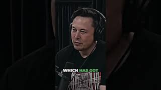 From Boarding Houses to Dream Homes Building an Artistic Oasis on Samara Road