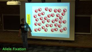 Allele Fixation