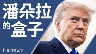 🎉恭祝大家牛年大吉！彈劾川普盡顯荒唐，小川普：還沒結束。｜薇羽看世間 第250期 20210210