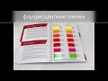 Уникальный каталог образцов пленок Oracal от группы компаний «ФорДА»