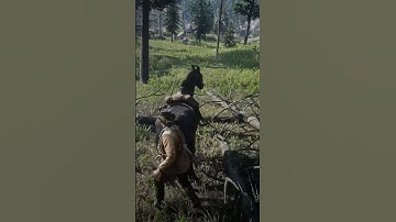 Hit The Wrong Button #rdr2