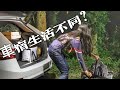 11月我最愛的車宿點｜銀杏森林自助美術館｜南投露營車宿車中泊 carcamping